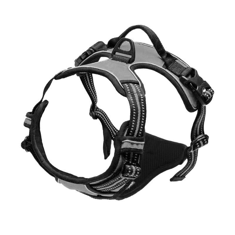 Binxy Boy Comfort Walking Harness