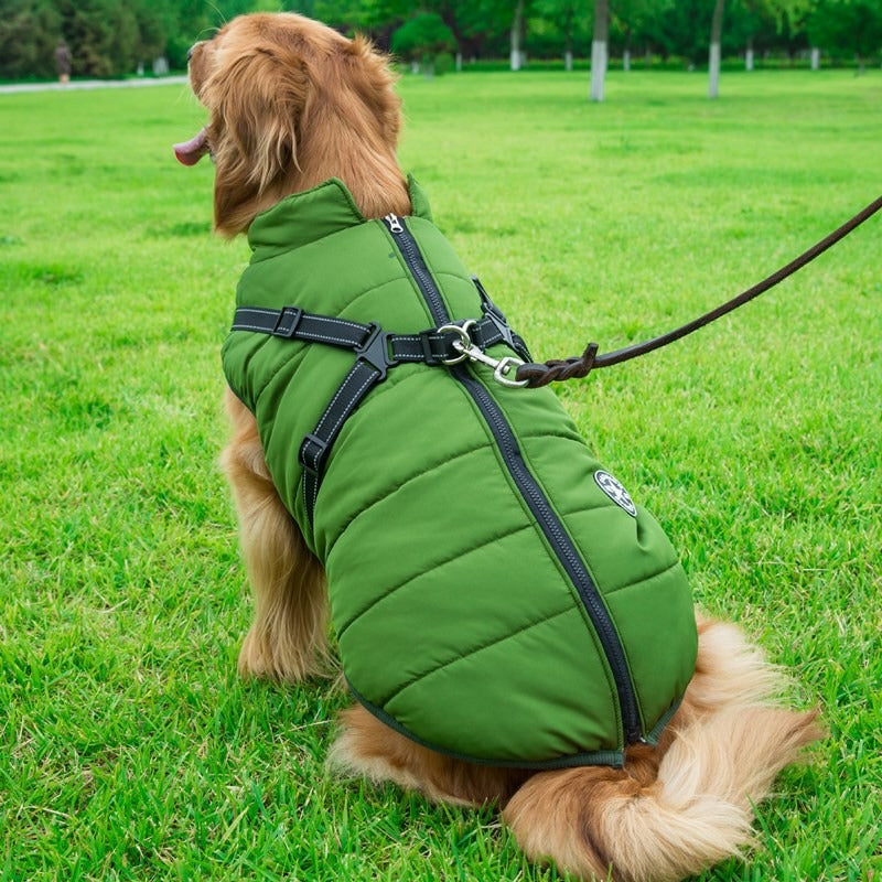 Binxy Boy Waterproof Dog Coat