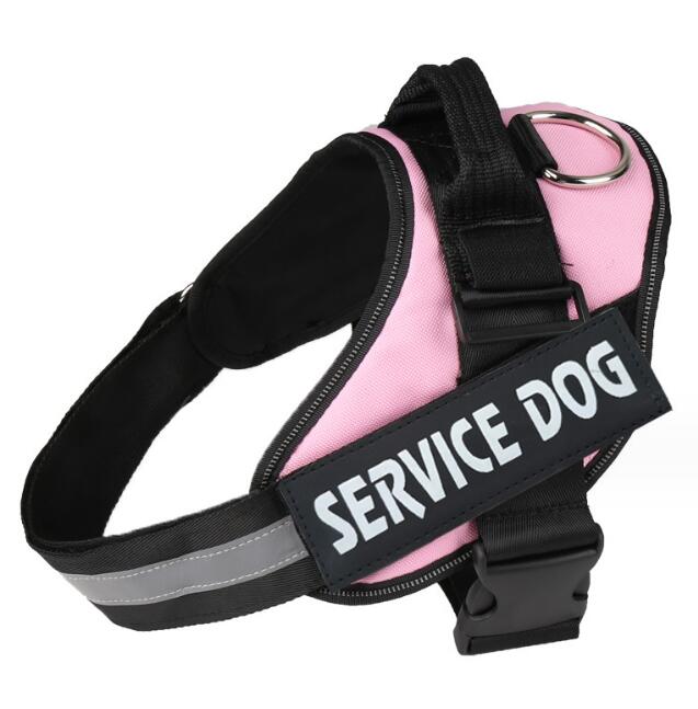 Binxy Boy Reflective Walking Harness