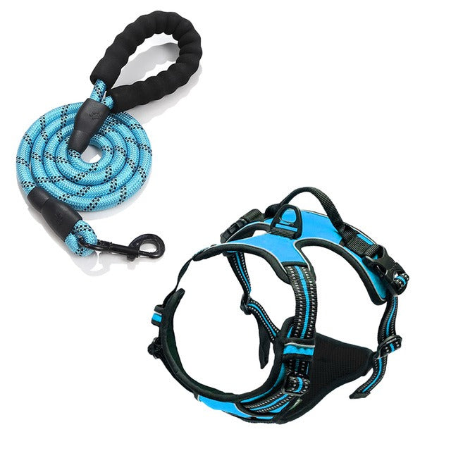 Binxy Boy Comfort Walking Harness