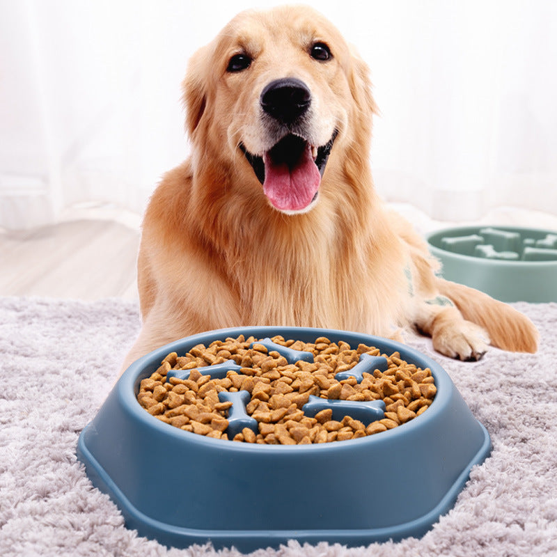 Binxy Boy Slow Feeder Bowl