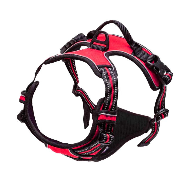 Binxy Boy Comfort Walking Harness