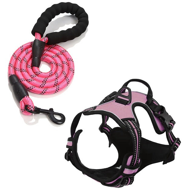 Binxy Boy Comfort Walking Harness