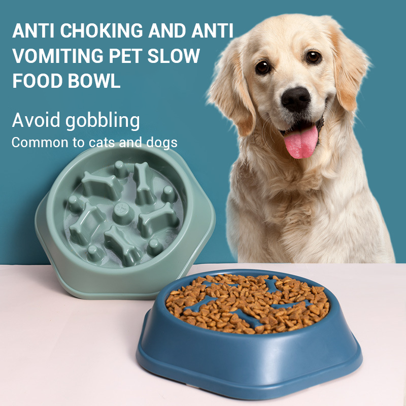 Binxy Boy Slow Feeder Bowl
