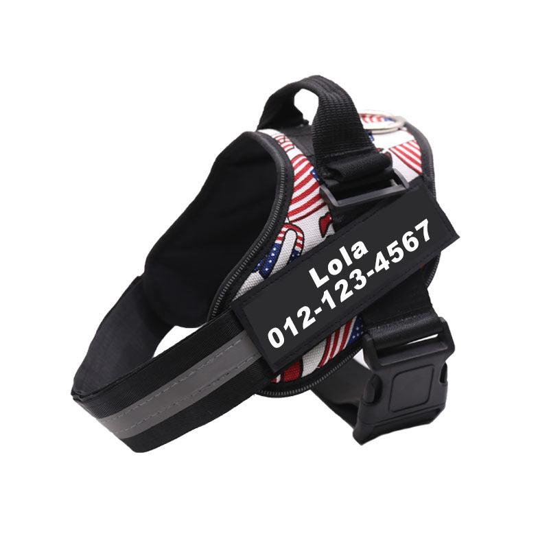 Binxy Boy Reflective Walking Harness