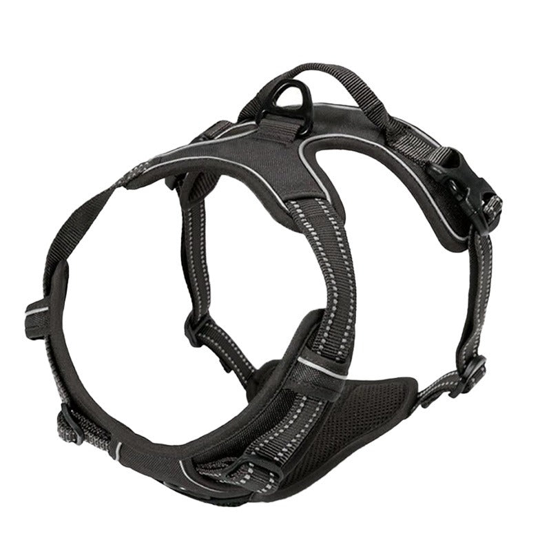 Binxy Boy Comfort Walking Harness