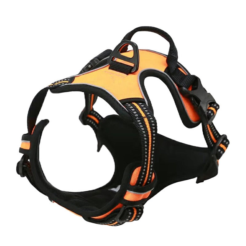 Binxy Boy Comfort Walking Harness