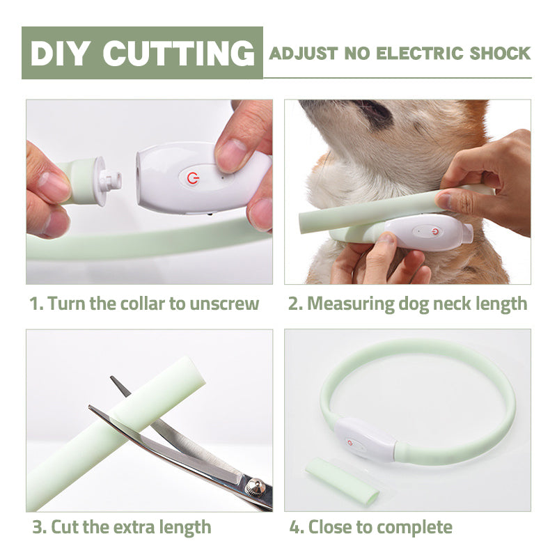 Binxy Boy LED Safety Collar