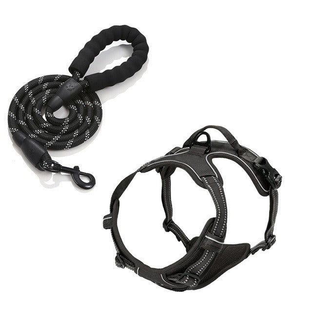 Binxy Boy Comfort Walking Harness