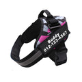 Binxy Boy Reflective Walking Harness