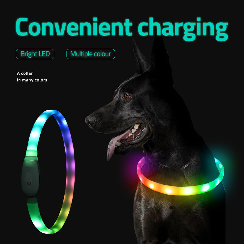 Binxy Boy LED Safety Collar