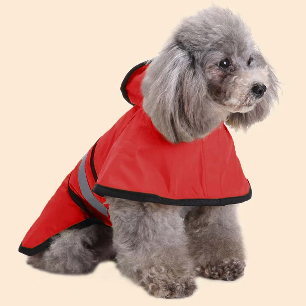 Binxy Boy Reflective Raincoat