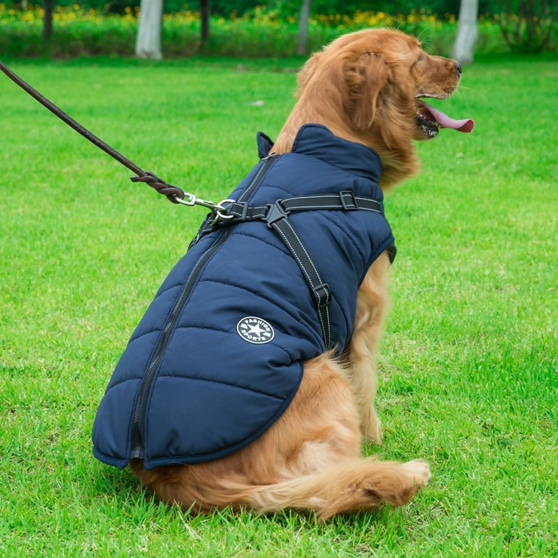 Binxy Boy Waterproof Dog Coat