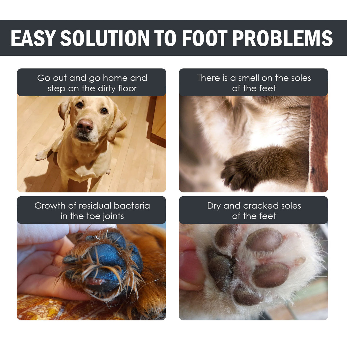Binxy Boy Paw Care Cleaner