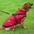 Binxy Boy Waterproof Dog Coat