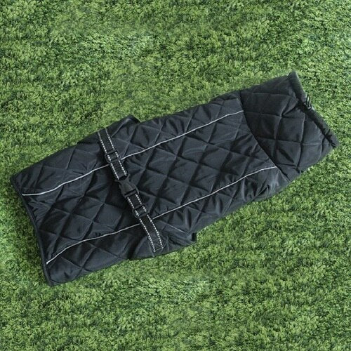 Binxy Boy Winter Comfort Coat
