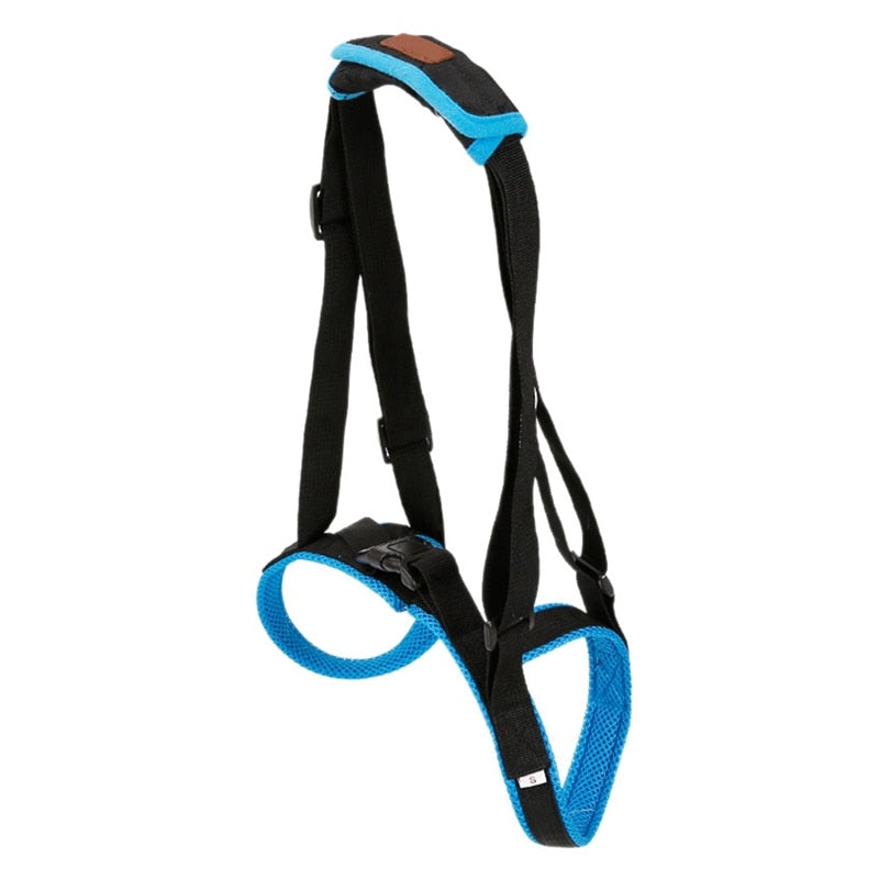 Binxy Boy Adjustable Rear-Leg Support Lift Harness