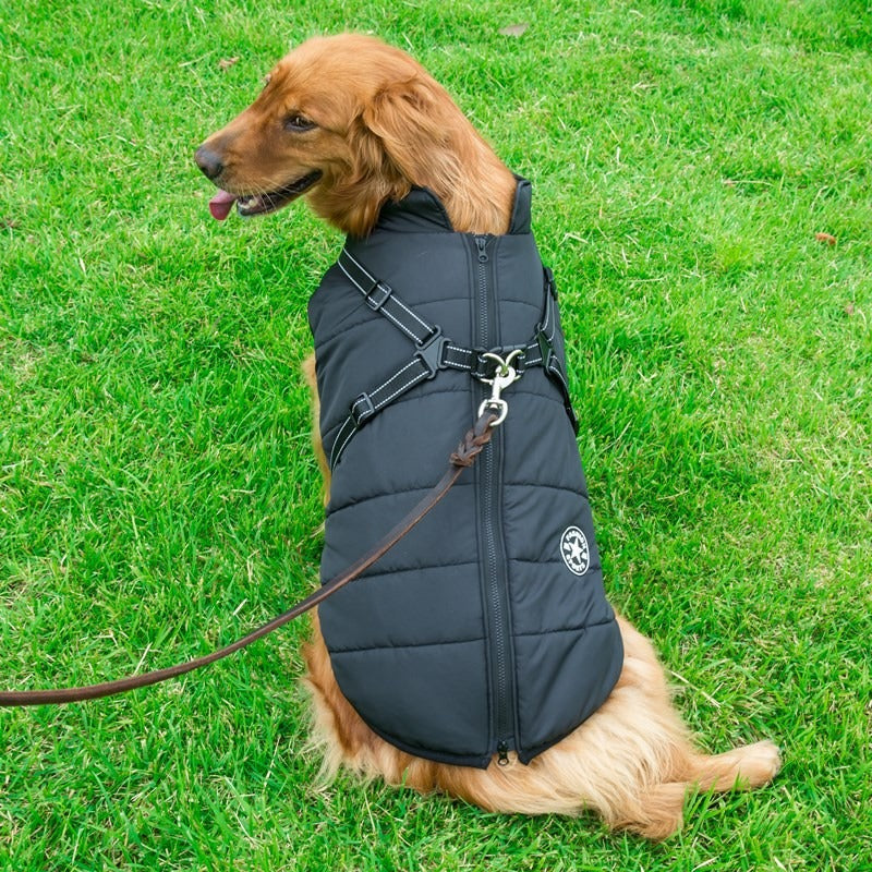 Binxy Boy Waterproof Dog Coat