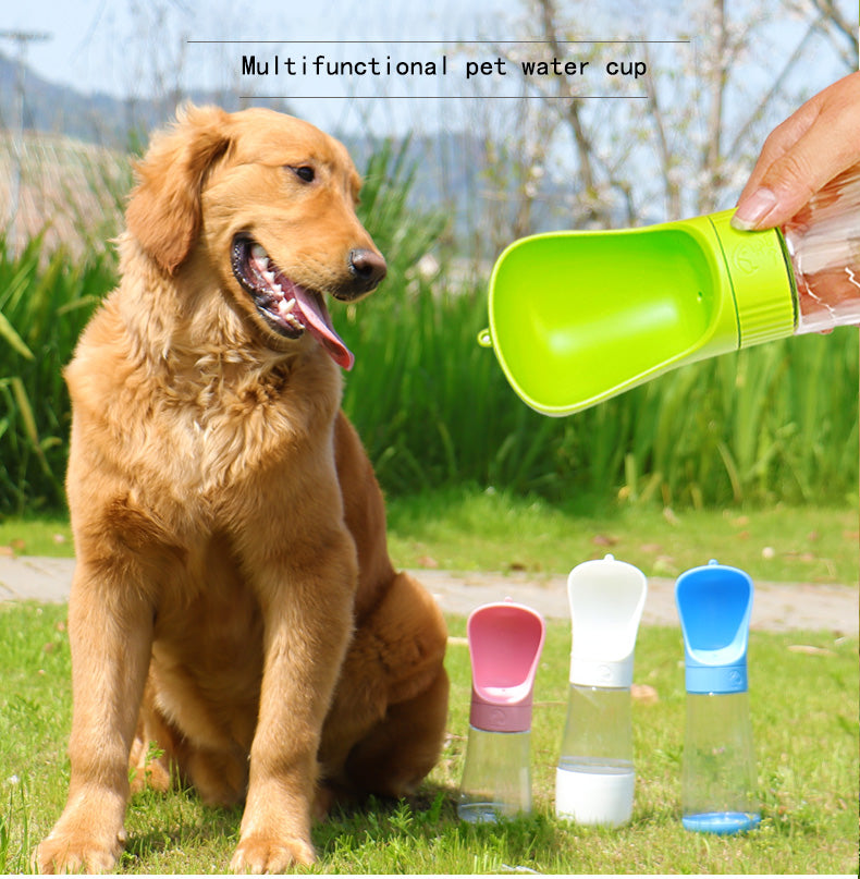 Binxy Boy Travel Water Bottle