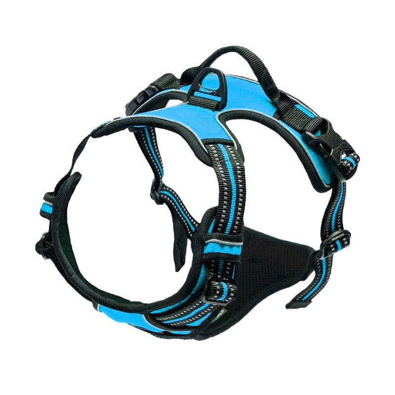 Binxy Boy Comfort Walking Harness