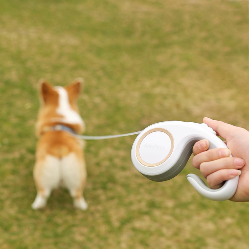 Binxy Boy 3M Retractable Lead