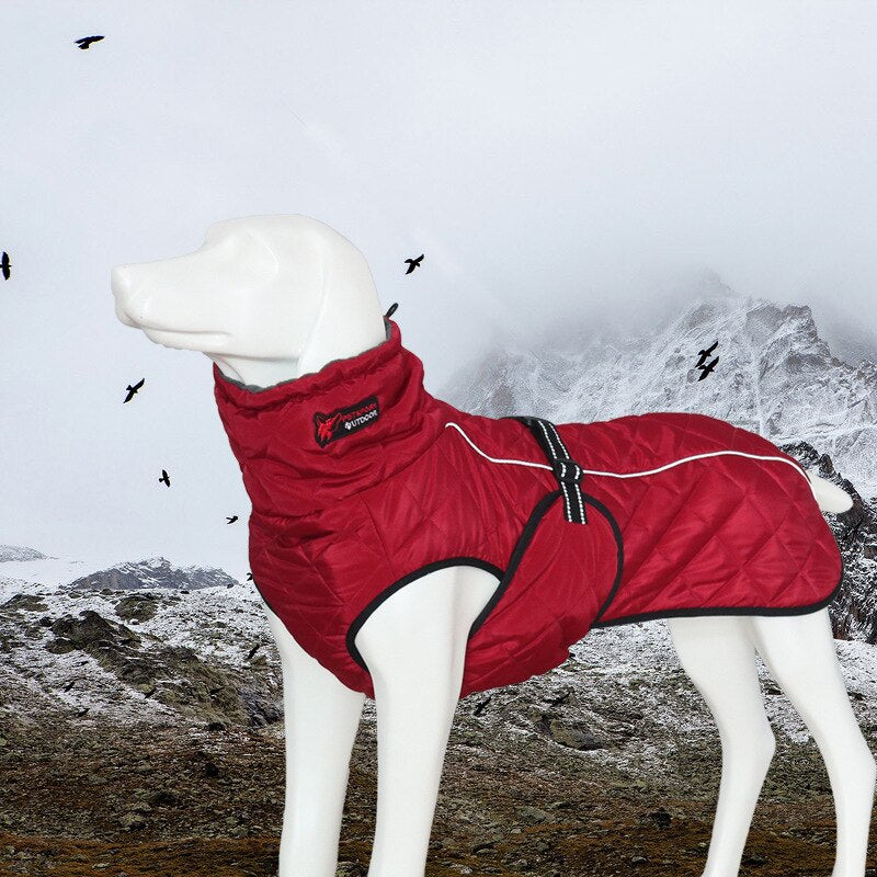 Binxy Boy Winter Comfort Coat