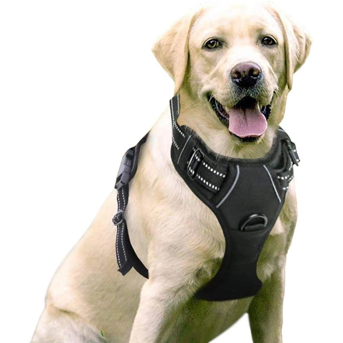 Binxy Boy Comfort Walking Harness