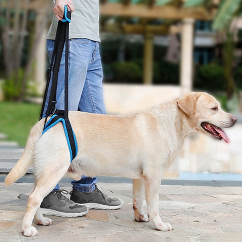 Binxy Boy Adjustable Rear-Leg Support Lift Harness