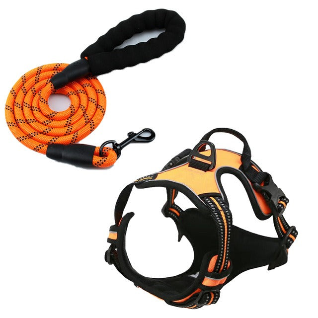 Binxy Boy Comfort Walking Harness