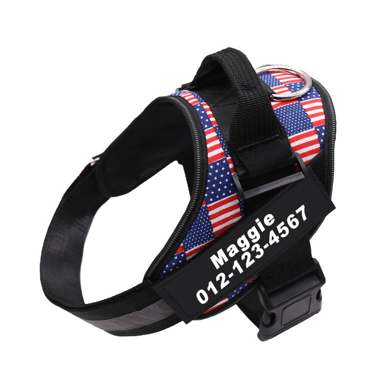 Binxy Boy Reflective Walking Harness