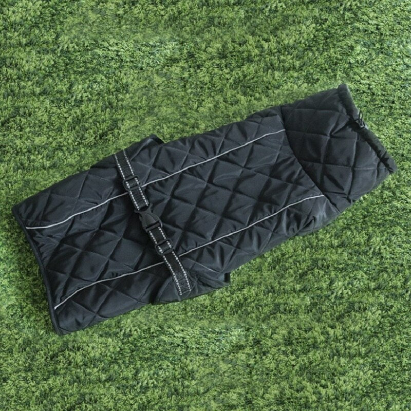 Binxy Boy Winter Comfort Coat