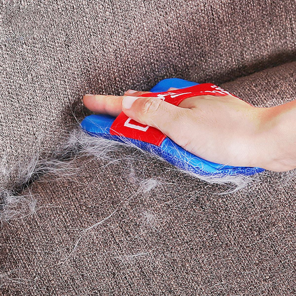 Binxy Boy Pet Hair Remover Brush