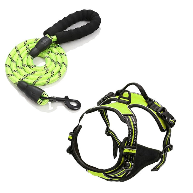 Binxy Boy Comfort Walking Harness