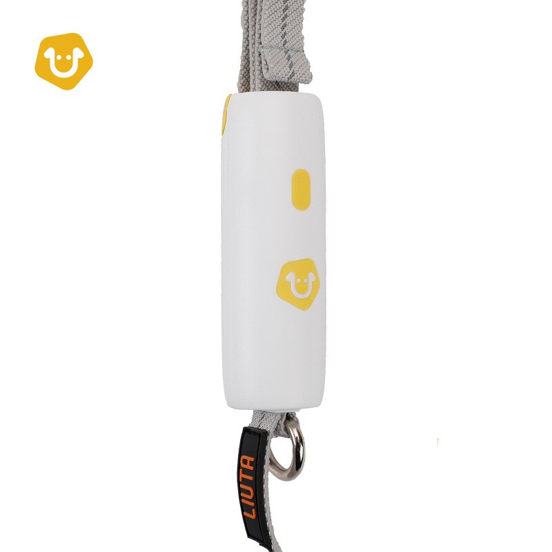 Binxy Boy Reflective Safety Lead