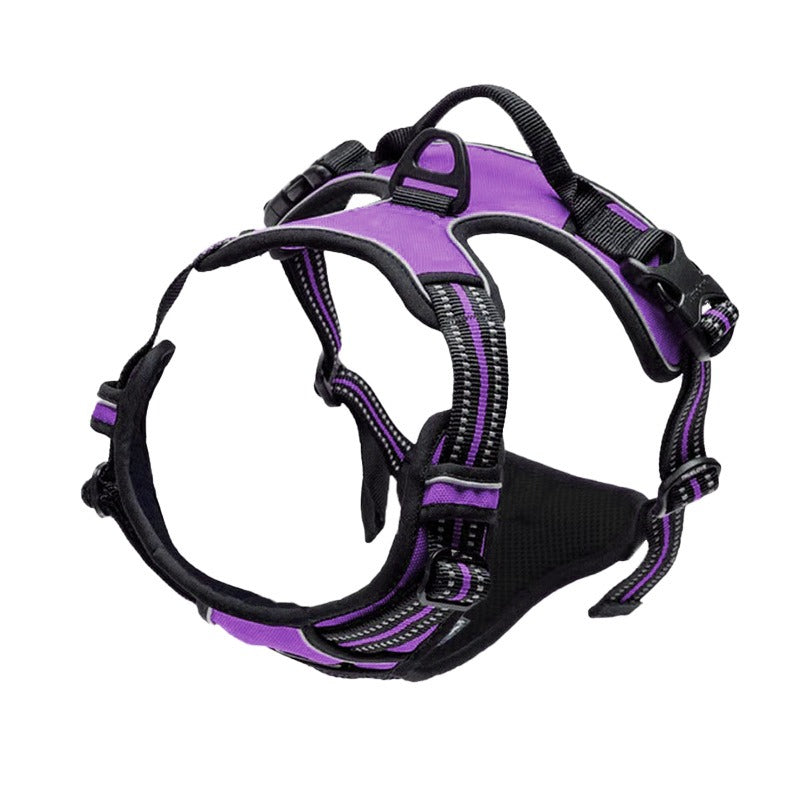 Binxy Boy Comfort Walking Harness