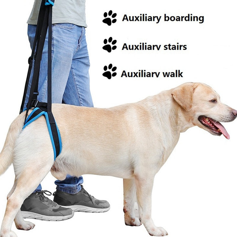 Binxy Boy Adjustable Rear-Leg Support Lift Harness