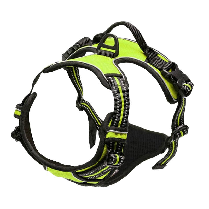 Binxy Boy Comfort Walking Harness