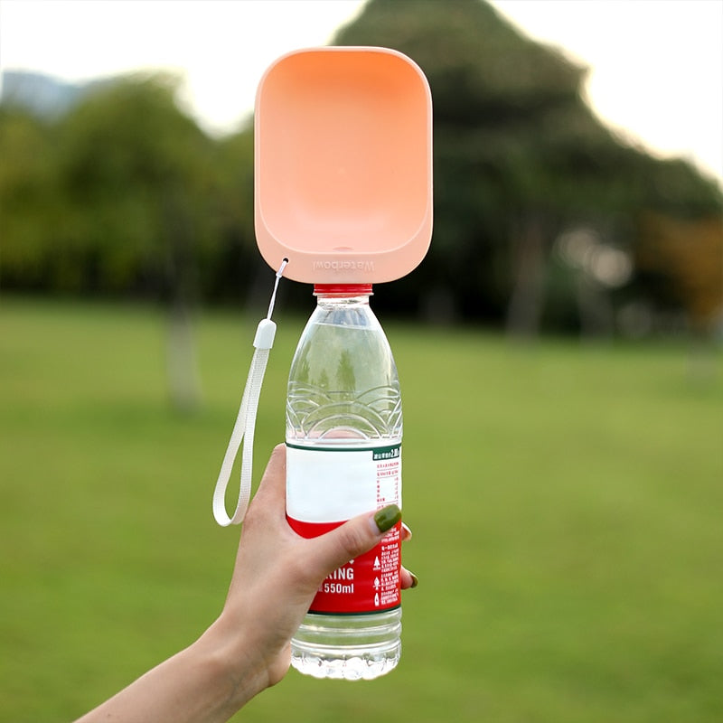 Binxy Boy Portable Travel Bottle