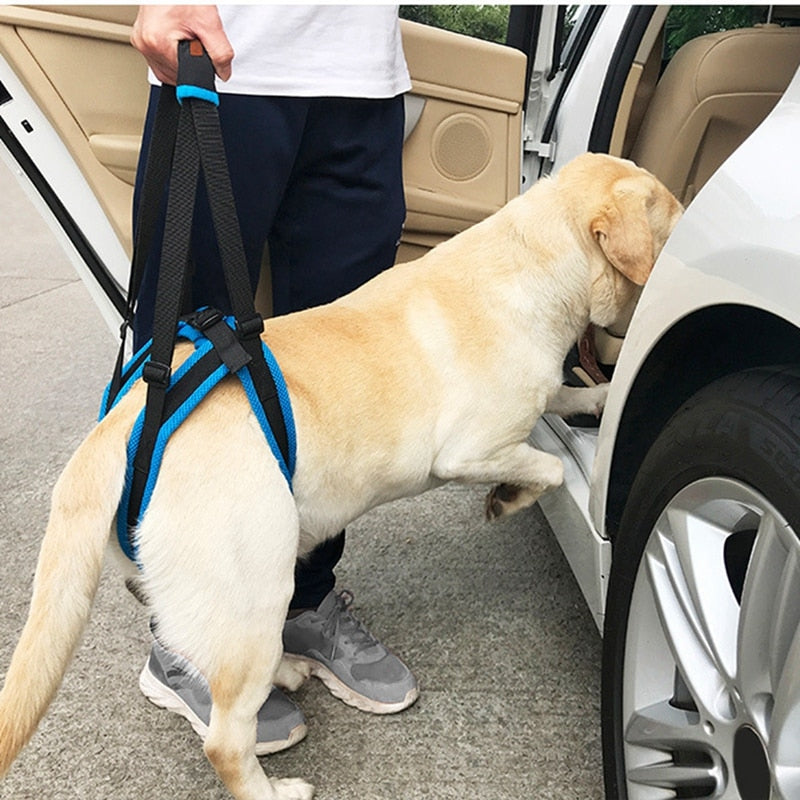 Binxy Boy Adjustable Rear-Leg Support Lift Harness