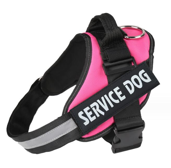 Binxy Boy Reflective Walking Harness
