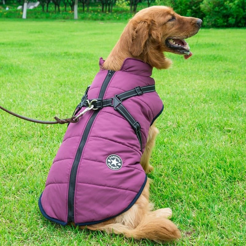Binxy Boy Waterproof Dog Coat