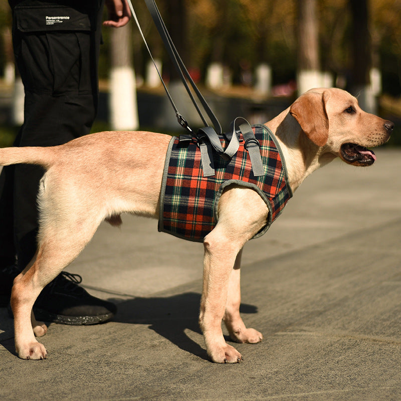 Pet Dog Leg Support Harness for Post-Surgery Recovery, Elderly Dogs, Large Breed Walking Assistance Brace