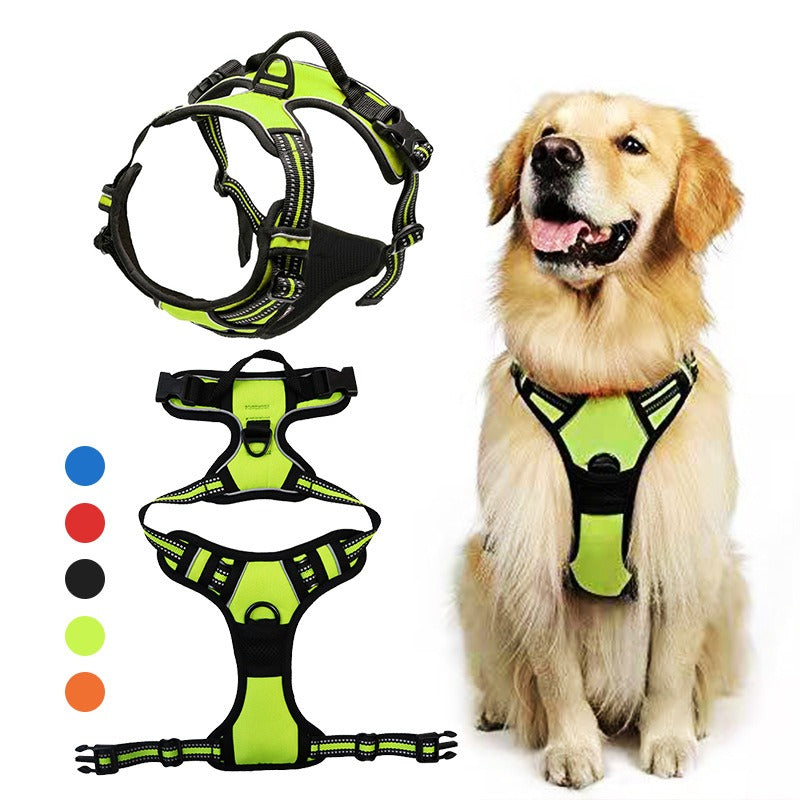 Binxy Boy Comfort Walking Harness