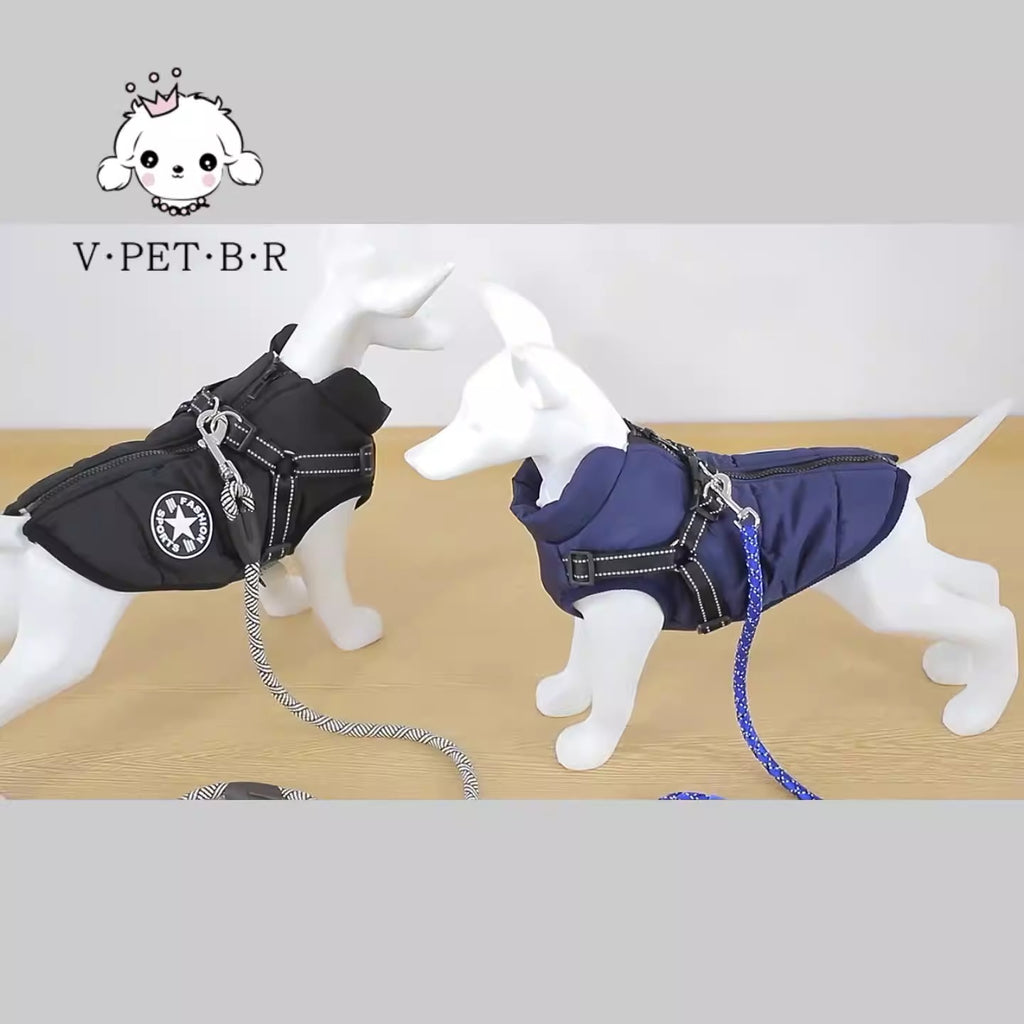 Binxy Boy Waterproof Dog Coat