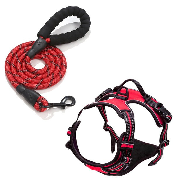 Binxy Boy Comfort Walking Harness