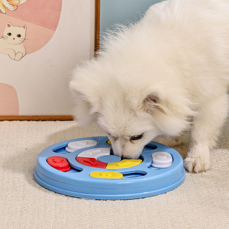 Binxy Boy Interactive Slow Feeder Bowl