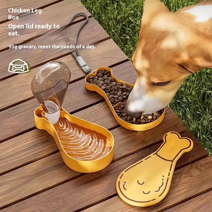 Binxy Boy Portable Travel Water Bottle